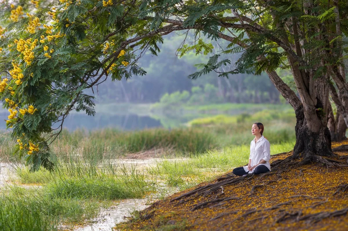 Mujer meditando en parque bajo árbol con flores amarillas representando paz interior y práctica de mindfulness
