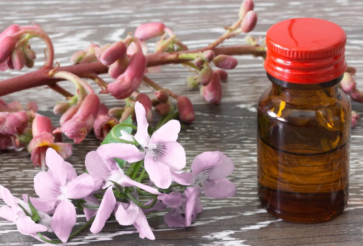 Flores de Bach remedies esencia floral naturaleza